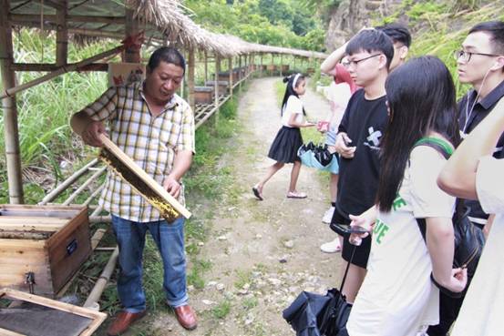 ”善行景宁乡，共圆畲汉梦“体育博彩
景宁梦之队-实地调研当地养蜂业