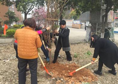 QQ图片20160318123403